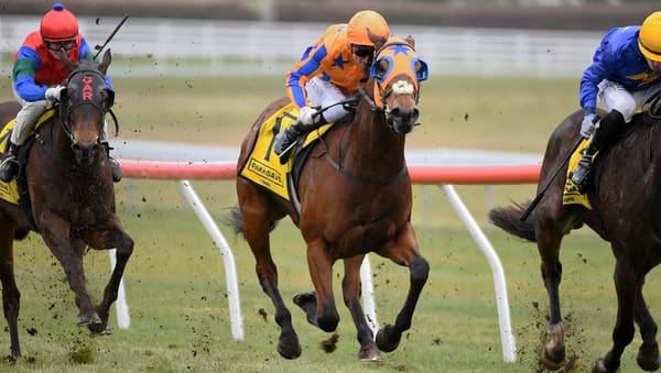 $4 million NZB Kiwi Field Complete