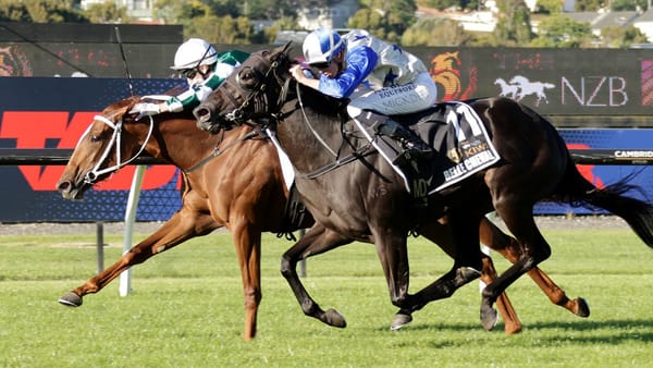 Well Written gets deserved break