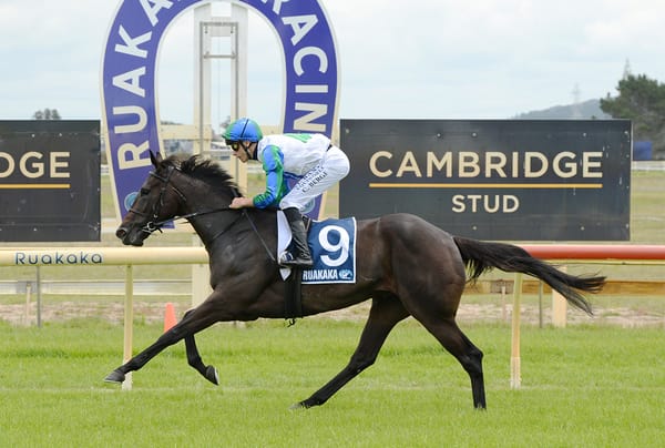 Return to Trentham fits with Waimea Bay