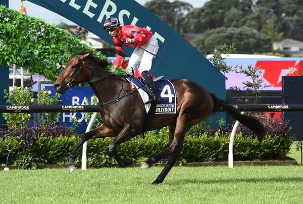 NZ Derby hero returning home