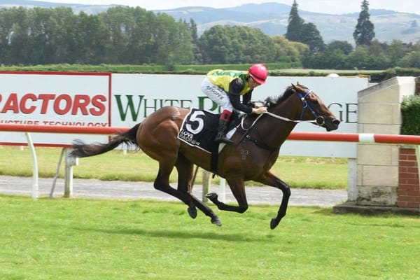 Dennis looking forward to weekend stakes trio