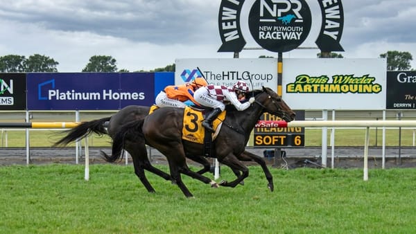 International partnership roaring ahead