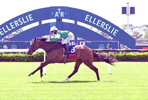 King hoping to continue sparkling form at Ellerslie