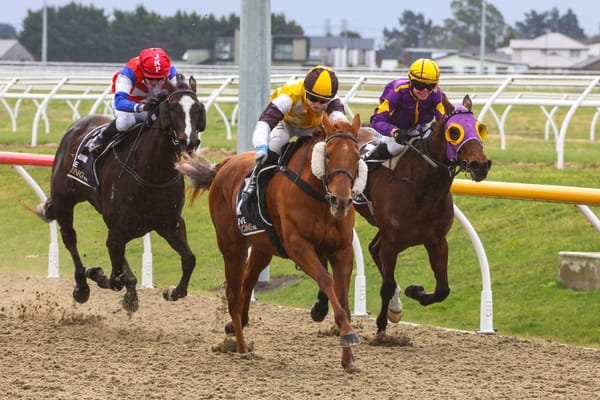 Telperion mare ready to turn fortunes around