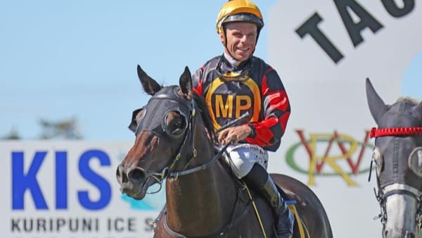 Shoebill’s stamina to be put to the test