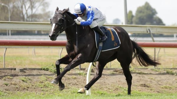 Navy Ensign seeking to go back-to-back