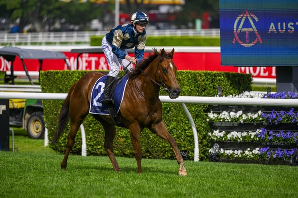 Maher Adamant Black Eyed Jimmy Will Relish Randwick Return