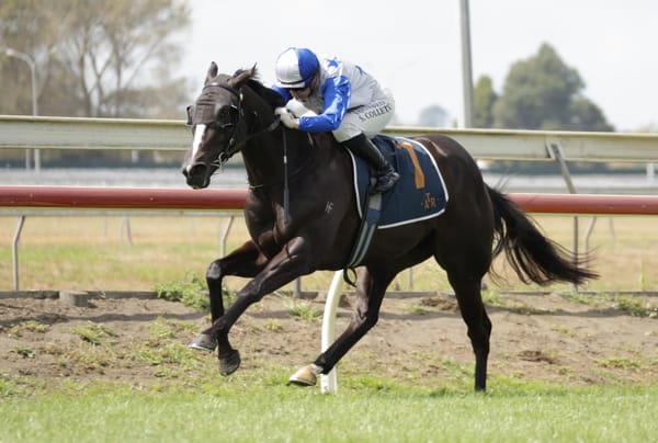 Navy Ensign seeking to go back-to-back