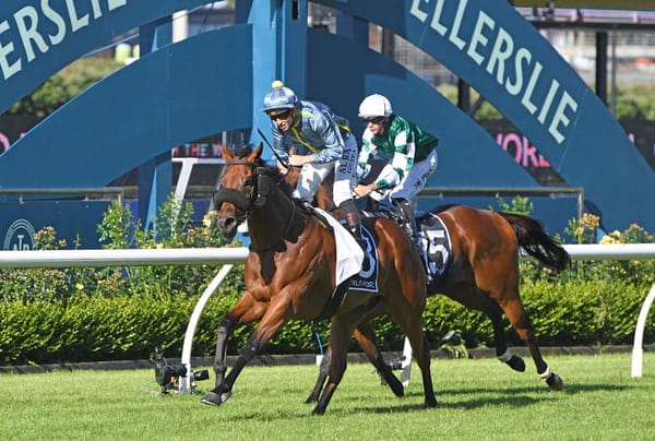 Road To Paris out to add to stable’s Derby tally