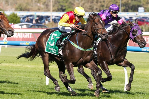 Rue De Royale breaks through million-dollar barrier