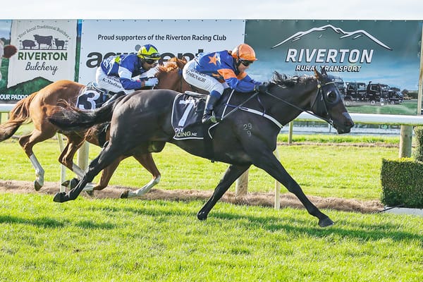Smooth Operator pockets tidy bonus for Riverton Cup victory