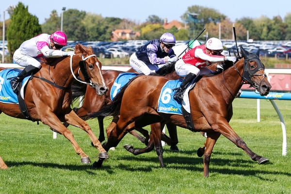 The Western Front shows staying prowess