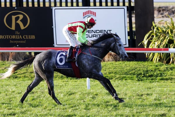 Mansour pleased with Helena Baby