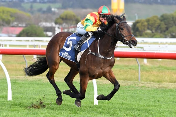 Exciting three-year-old Hong Kong bound