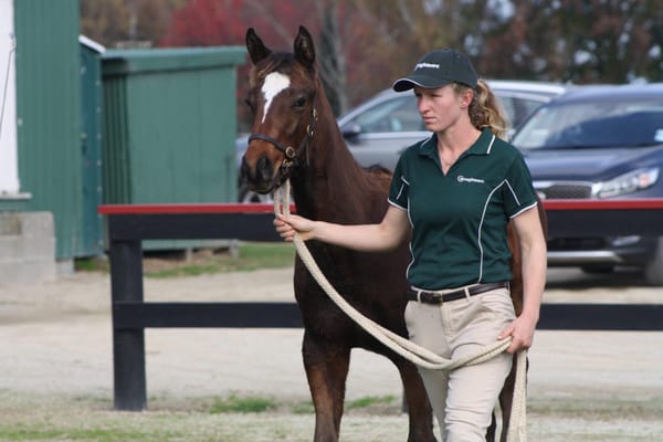 Overseas experiences ahead for Scholarship recipients