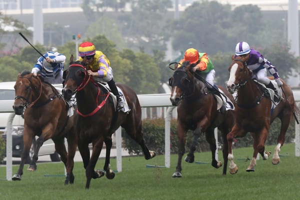 HK Derby winner retired