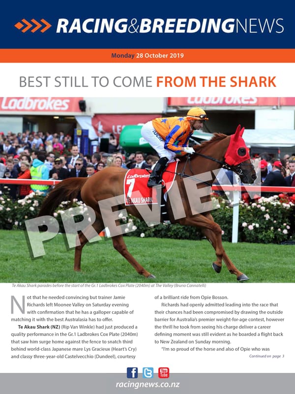 NZ Racing and Breeding News – 28 October 2019