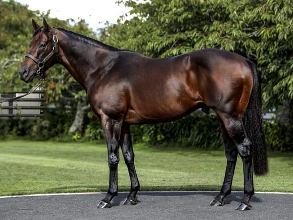 Audio: Mark Chittick