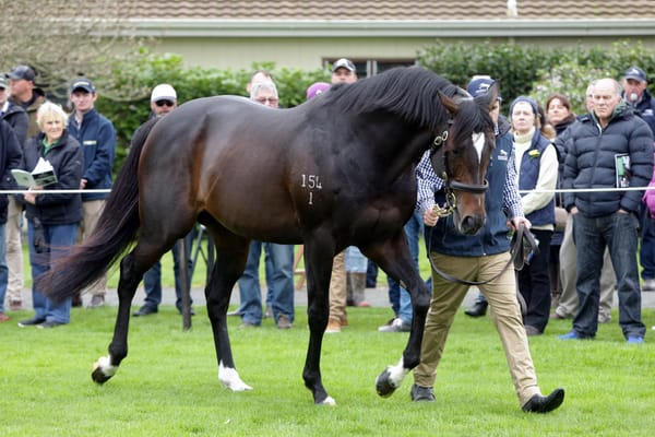 Novara Park announce service fees