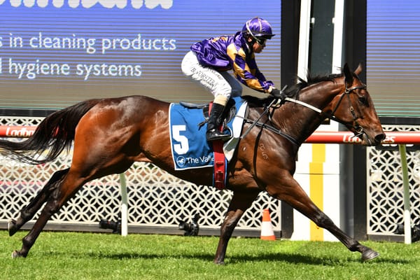 Valley winner has black type talent