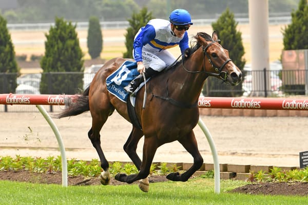 Stockdale sacrifices for Saturday success