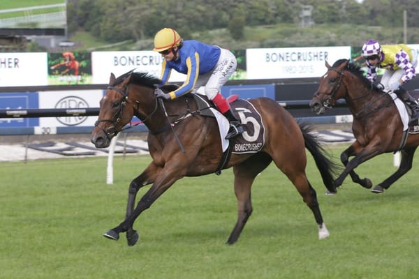 Fownes looks to The Hulk and Snap Fit for festive cheer