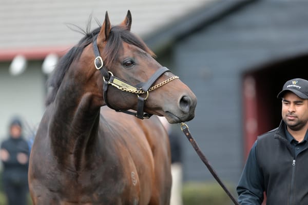 Tarzino leaving his mark