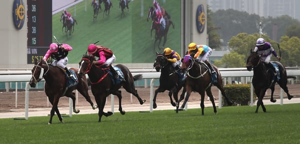 NZB graduates shine at Sha Tin