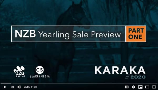 Video: Karaka Yearling Sale Preview – Part 1