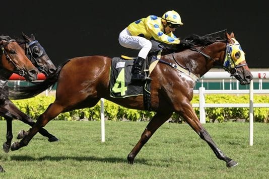 Moloney is new partner for Mr Clint