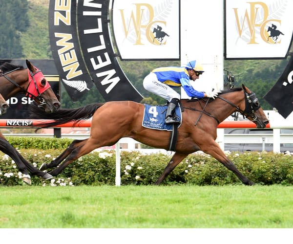 Audio: Andrew Forsman