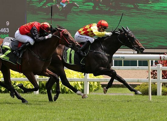 Superlative comes through at odds