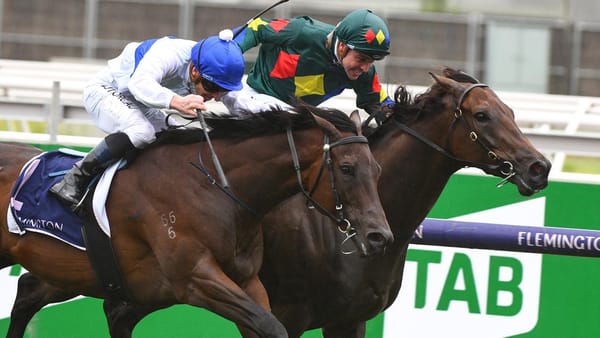 Alligator draws first Blood