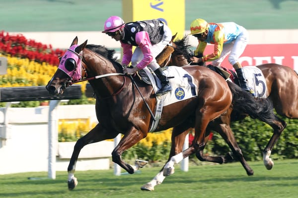 Japan raid likely for Beauty Generation