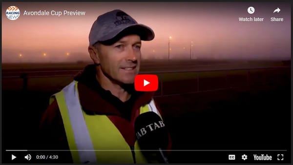 Video: Avondale Cup Preview