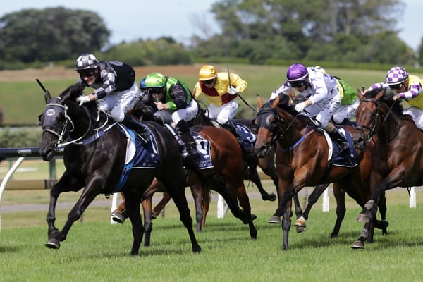 Home By Midnight wins Launceston Cup