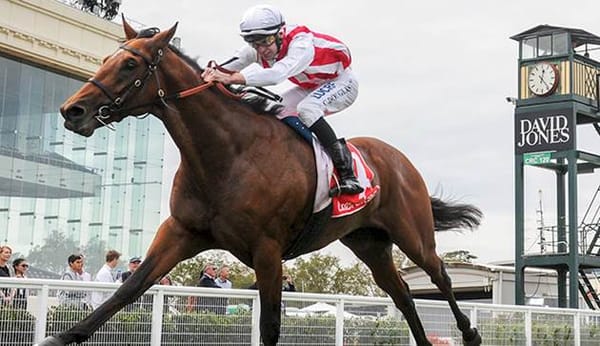 Super Seth's All-Star dilemma