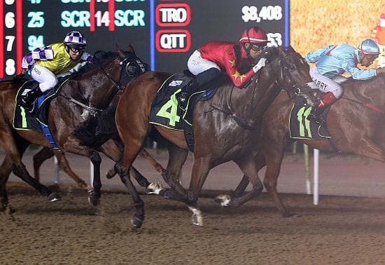 Lim's Dashing scores first-up