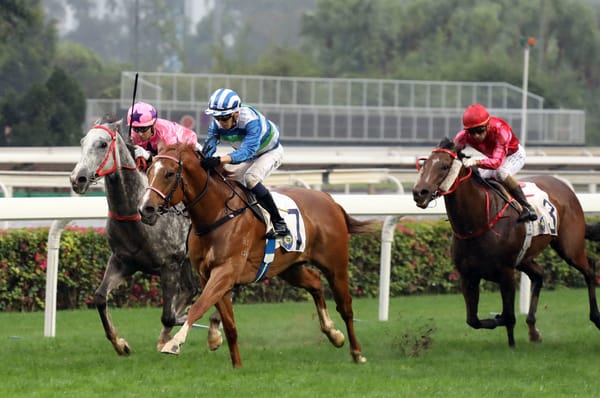 Blinkers on Voyage Warrior