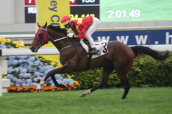 Above chasing further Hong Kong success