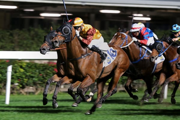 Simply Fluke successful at Happy Valley