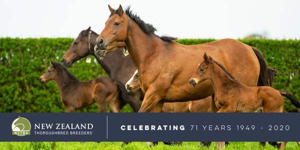 NZTBA Members Update