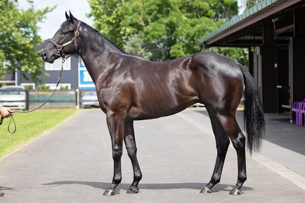 Star Ready to Run graduate breaks through at Sha Tin