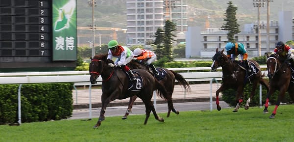 Kiwi-bred scores in Macau