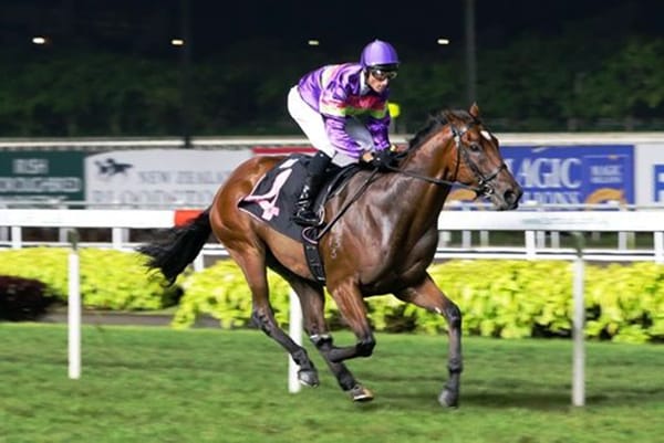 Countofmontecristo begins Kranji Mile campaign