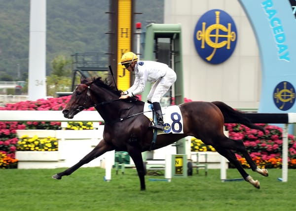Kiwi sourced horses feature in Hong Kong awards