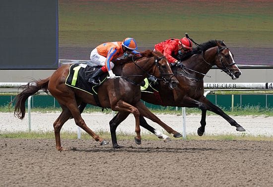 Flying start for Heartening Flyer