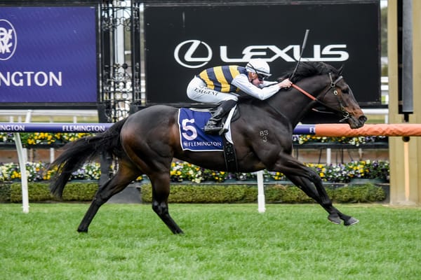 Spring beckons for Romancer