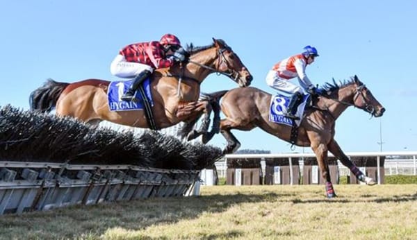 Tallyho survives protest to win