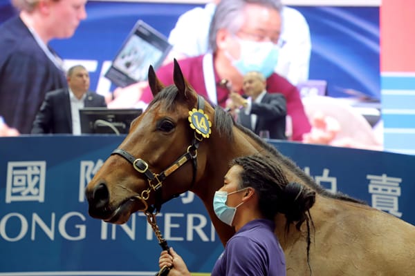 Strong results at Hong Kong International Sale